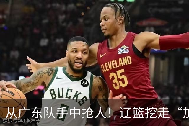 从广东队手中抢人！辽篮挖走“加强版杜润旺”，杜锋痛失锋线新星